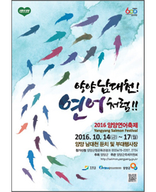 2016연어축제 이미지